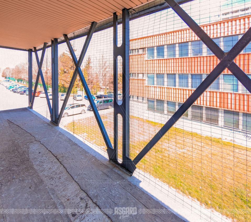 PXL_20230321_104435039-4